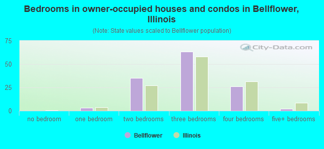 Bedrooms in owner-occupied houses and condos in Bellflower, Illinois