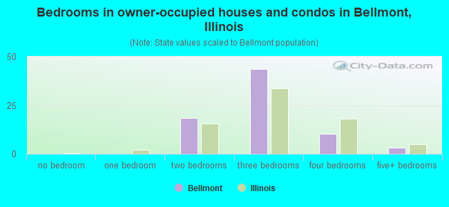 Bedrooms in owner-occupied houses and condos in Bellmont, Illinois