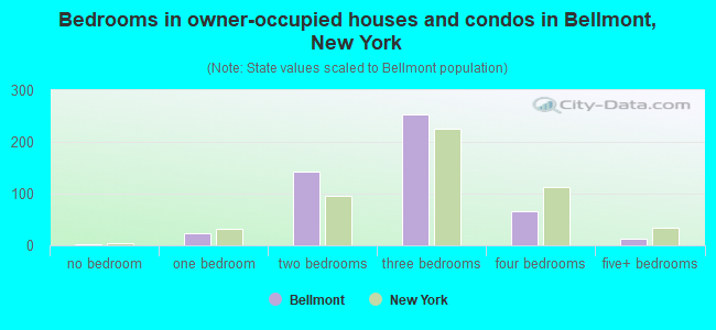 Bedrooms in owner-occupied houses and condos in Bellmont, New York