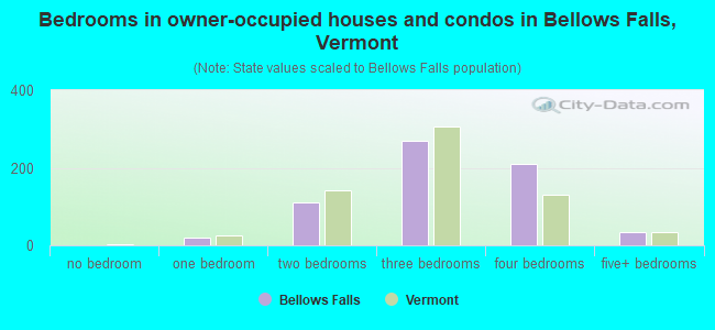 Bedrooms in owner-occupied houses and condos in Bellows Falls, Vermont