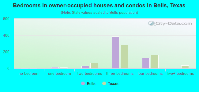Bedrooms in owner-occupied houses and condos in Bells, Texas