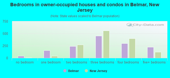 Bedrooms in owner-occupied houses and condos in Belmar, New Jersey