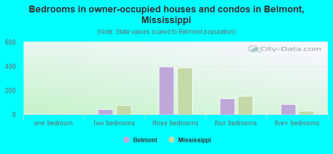 Bedrooms in owner-occupied houses and condos in Belmont, Mississippi