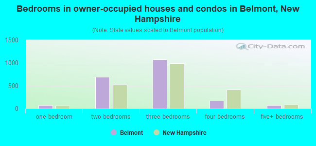 Bedrooms in owner-occupied houses and condos in Belmont, New Hampshire