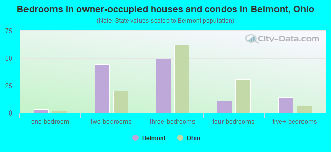Bedrooms in owner-occupied houses and condos in Belmont, Ohio