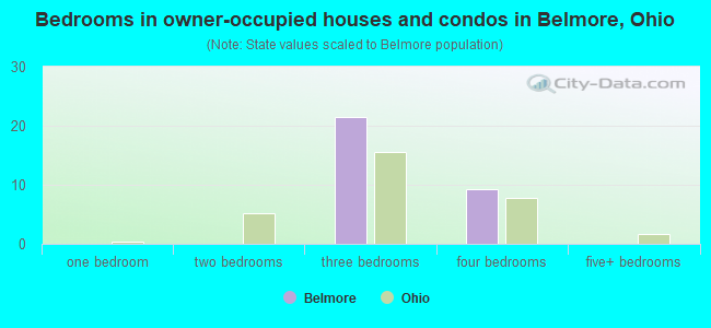 Bedrooms in owner-occupied houses and condos in Belmore, Ohio