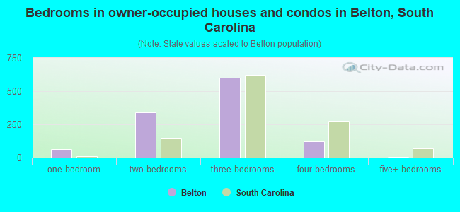 Bedrooms in owner-occupied houses and condos in Belton, South Carolina