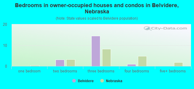 Bedrooms in owner-occupied houses and condos in Belvidere, Nebraska