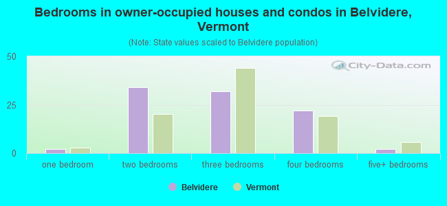 Bedrooms in owner-occupied houses and condos in Belvidere, Vermont