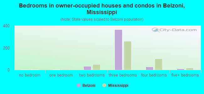 Bedrooms in owner-occupied houses and condos in Belzoni, Mississippi