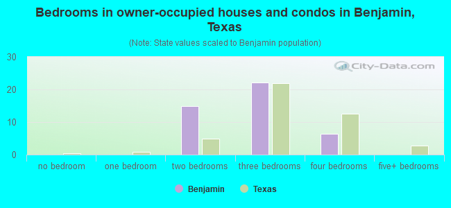Bedrooms in owner-occupied houses and condos in Benjamin, Texas