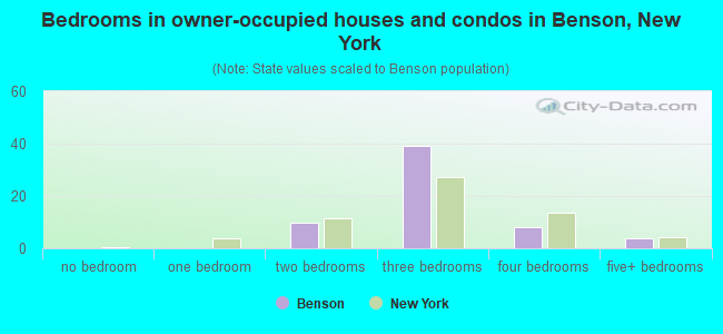 Bedrooms in owner-occupied houses and condos in Benson, New York
