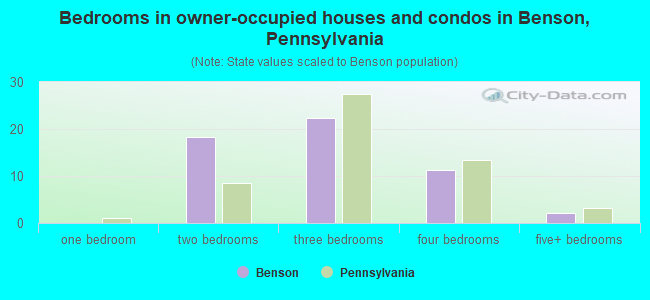 Bedrooms in owner-occupied houses and condos in Benson, Pennsylvania