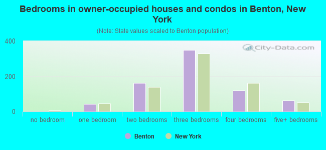 Bedrooms in owner-occupied houses and condos in Benton, New York