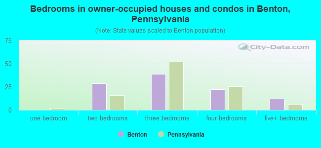 Bedrooms in owner-occupied houses and condos in Benton, Pennsylvania