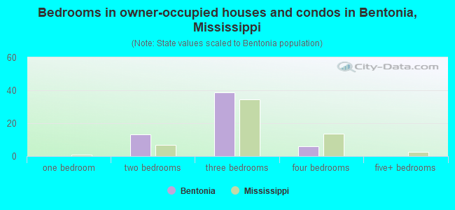 Bedrooms in owner-occupied houses and condos in Bentonia, Mississippi