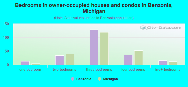 Bedrooms in owner-occupied houses and condos in Benzonia, Michigan