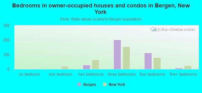 Bedrooms in owner-occupied houses and condos in Bergen, New York