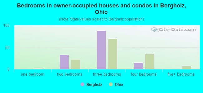 Bedrooms in owner-occupied houses and condos in Bergholz, Ohio