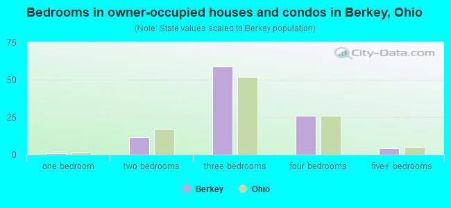 Bedrooms in owner-occupied houses and condos in Berkey, Ohio