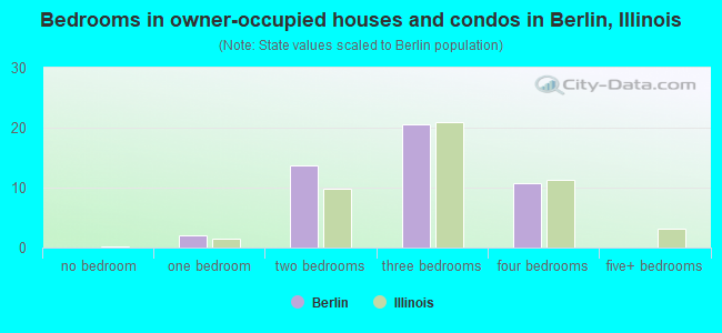 Bedrooms in owner-occupied houses and condos in Berlin, Illinois