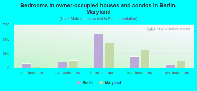 Bedrooms in owner-occupied houses and condos in Berlin, Maryland
