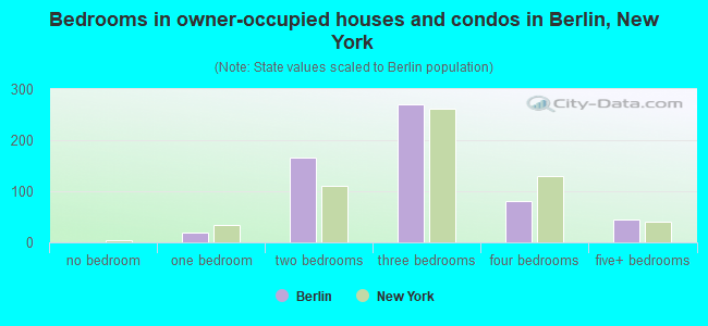 Bedrooms in owner-occupied houses and condos in Berlin, New York