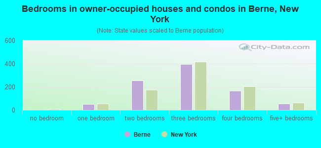 Bedrooms in owner-occupied houses and condos in Berne, New York