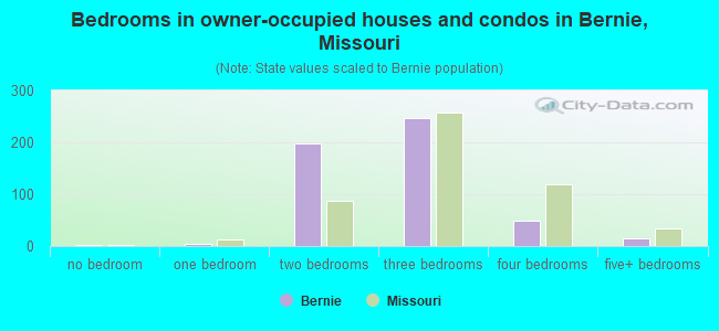 Bedrooms in owner-occupied houses and condos in Bernie, Missouri