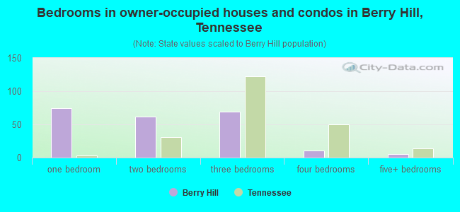 Bedrooms in owner-occupied houses and condos in Berry Hill, Tennessee