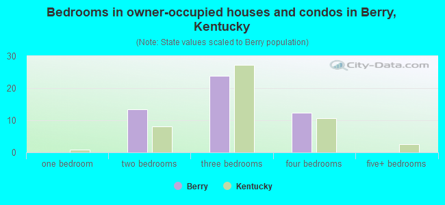 Bedrooms in owner-occupied houses and condos in Berry, Kentucky