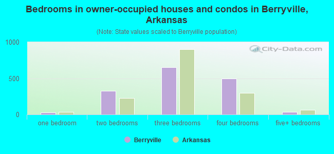 Bedrooms in owner-occupied houses and condos in Berryville, Arkansas