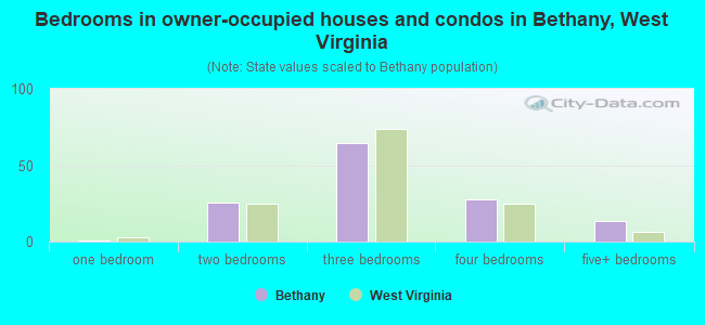 Bedrooms in owner-occupied houses and condos in Bethany, West Virginia