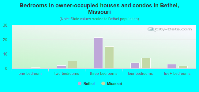 Bedrooms in owner-occupied houses and condos in Bethel, Missouri