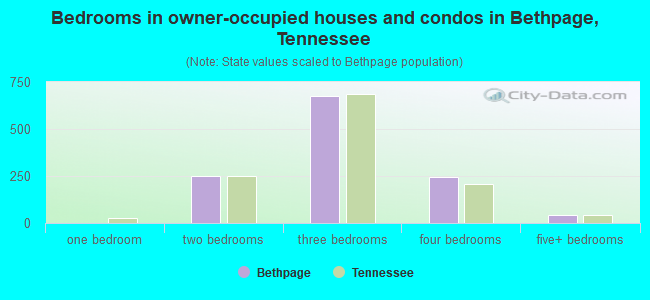 Bedrooms in owner-occupied houses and condos in Bethpage, Tennessee