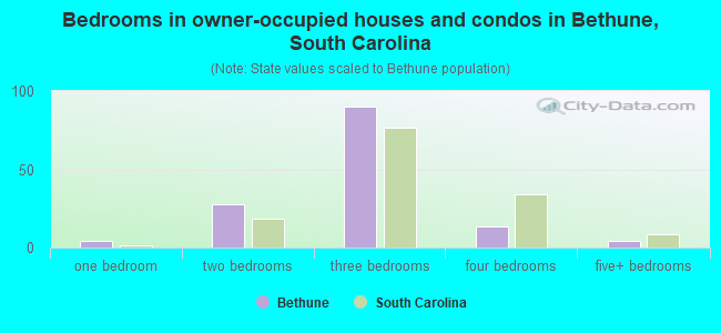Bedrooms in owner-occupied houses and condos in Bethune, South Carolina