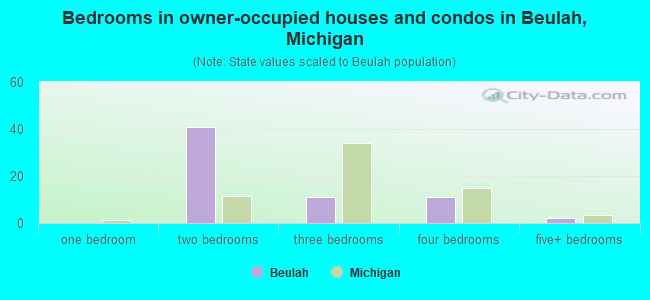Bedrooms in owner-occupied houses and condos in Beulah, Michigan
