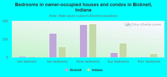 Bedrooms in owner-occupied houses and condos in Bicknell, Indiana