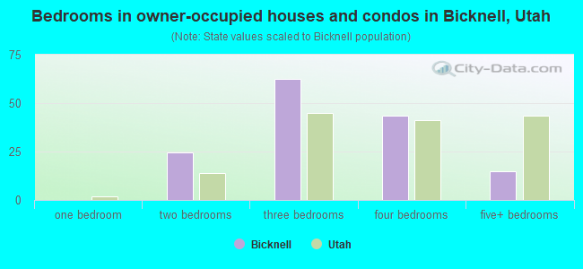 Bedrooms in owner-occupied houses and condos in Bicknell, Utah
