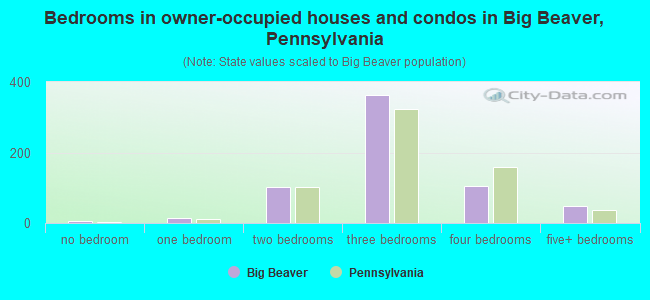 Bedrooms in owner-occupied houses and condos in Big Beaver, Pennsylvania