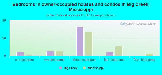 Bedrooms in owner-occupied houses and condos in Big Creek, Mississippi