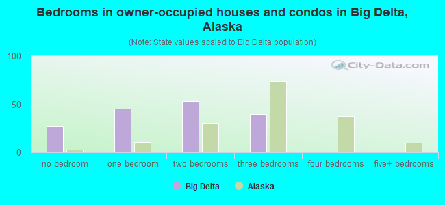 Bedrooms in owner-occupied houses and condos in Big Delta, Alaska