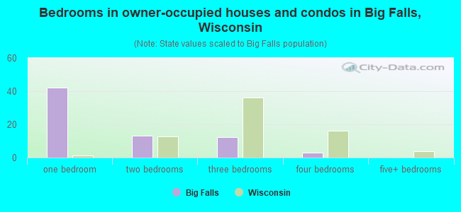 Bedrooms in owner-occupied houses and condos in Big Falls, Wisconsin