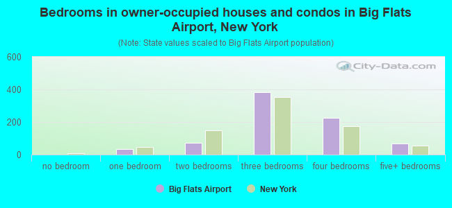 Bedrooms in owner-occupied houses and condos in Big Flats Airport, New York