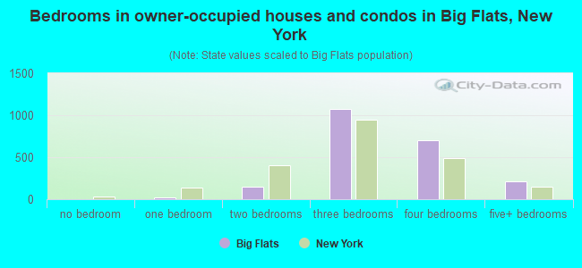 Bedrooms in owner-occupied houses and condos in Big Flats, New York