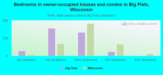 Bedrooms in owner-occupied houses and condos in Big Flats, Wisconsin