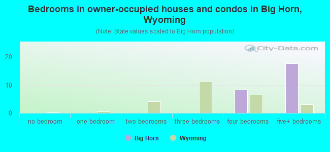 Bedrooms in owner-occupied houses and condos in Big Horn, Wyoming