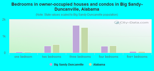 Bedrooms in owner-occupied houses and condos in Big Sandy-Duncanville, Alabama
