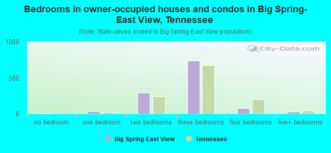 Bedrooms in owner-occupied houses and condos in Big Spring-East View, Tennessee
