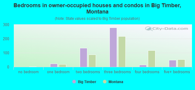 Bedrooms in owner-occupied houses and condos in Big Timber, Montana